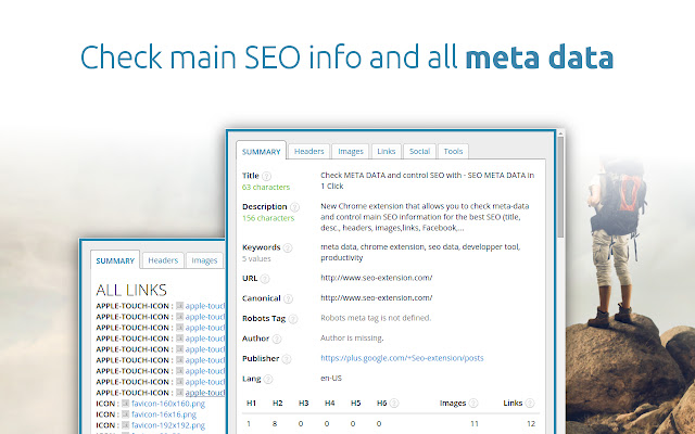 Captura de tela do SEo Meta 1 Click, fonte: Chrome Web Store.